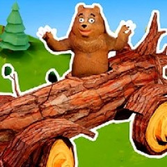 Bear vs Humans