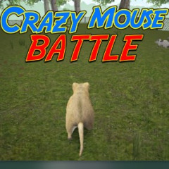Crazy Mouse Battle
